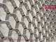 Stainless Steel 310S Hexsteel Refractory Lining | 19mm deep | 14ga thickness | 60mm hexagonal hole | China HESLY Plant supplier
