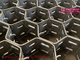 Double Clinch Hexsteel | Stainless Steel 310S | 50mm thickness | 14ga strips | 2&quot; hexagonal hole - HESLY China Plant supplier